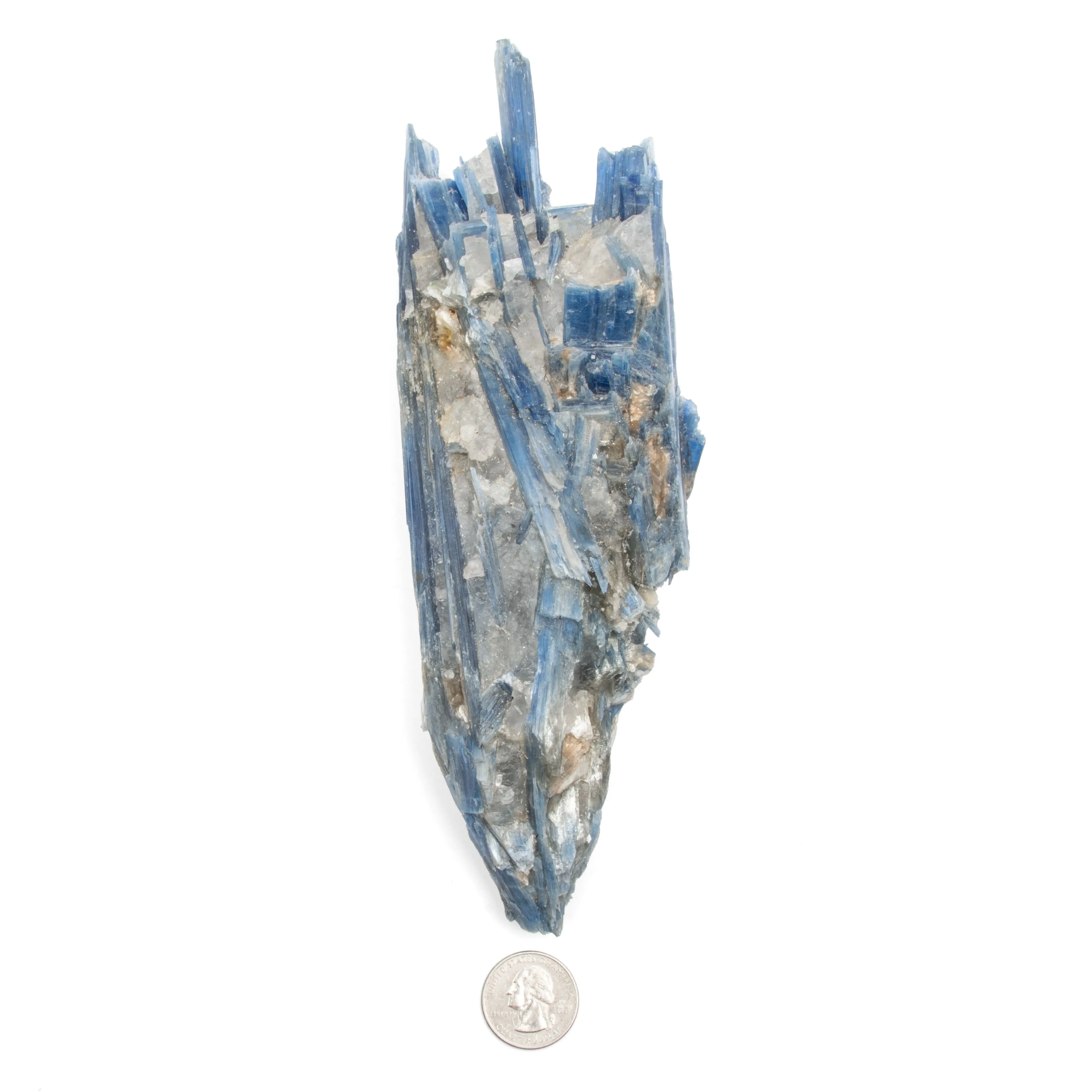 Blue Kyanite - AA Grade Specimen