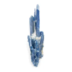 Blue Kyanite - AA Grade Specimen