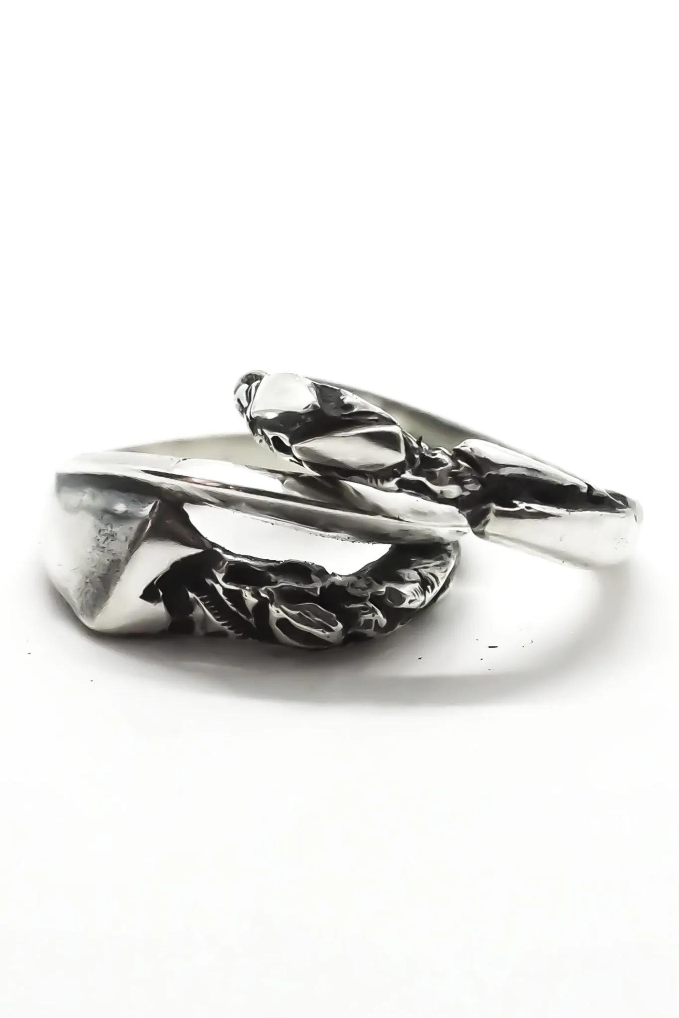 Centaurus Dwingeloo Ring Set